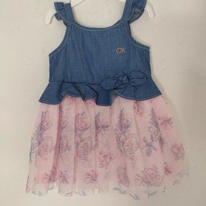 NWT Calvin Klein Baby Pink/Floral Dress Size 12M
